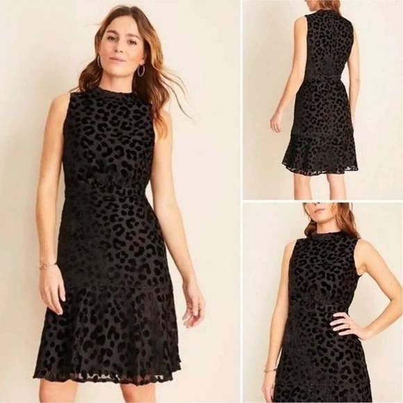 Ann Taylor Velvet Mock Neck Mini Dress Cheetah Black Women's 2 Petite - Picture 1 of 11